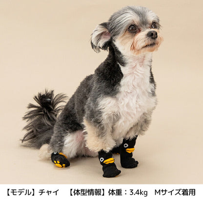【2026年】滑り止め靴下 S/M/L Solgra-ソルグラ- 犬用 SO26AW so262753