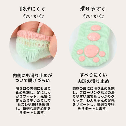 【2026年】滑り止め靴下 S/M/L Solgra-ソルグラ- 犬用 SO26AW so262753
