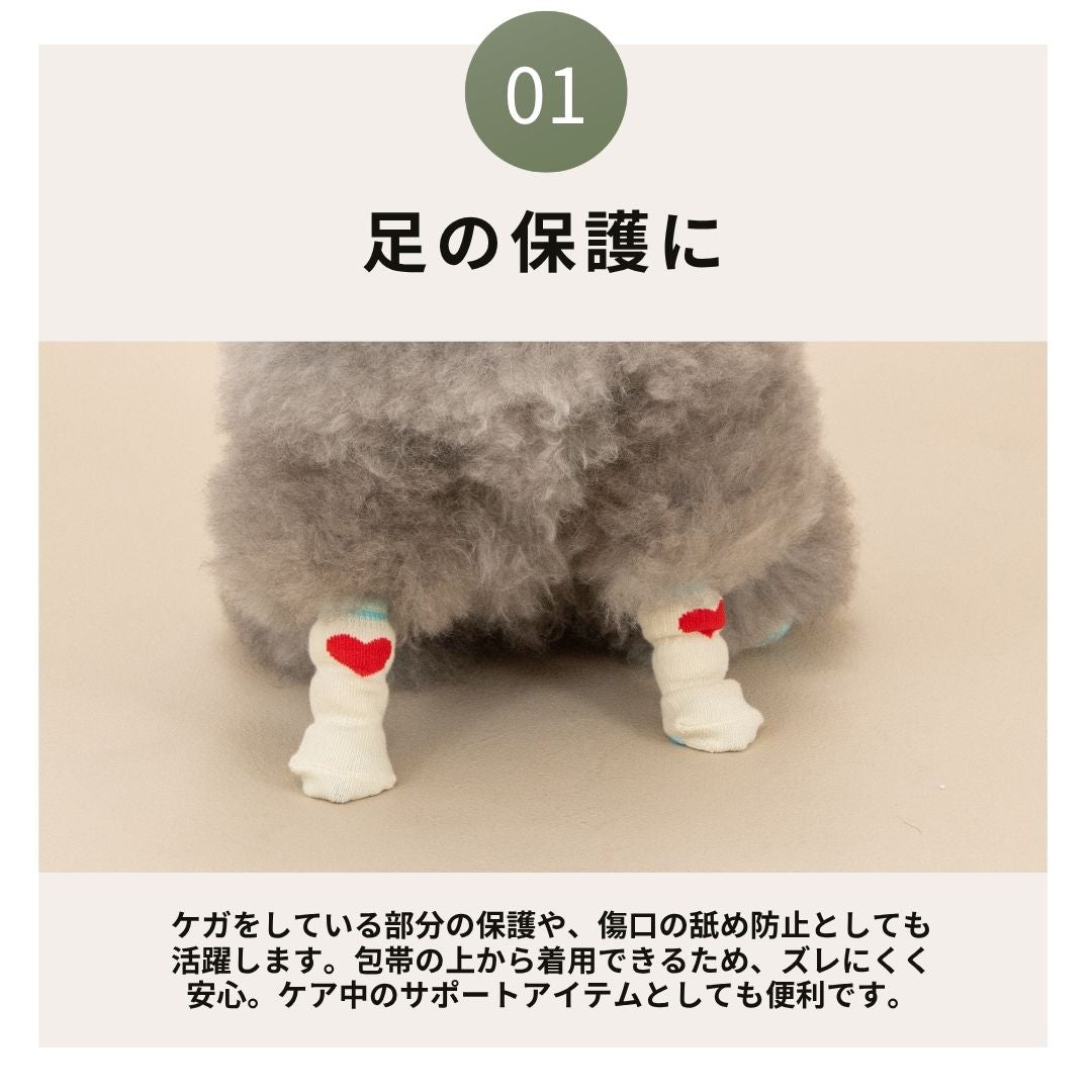 【2026年】滑り止め靴下 S/M/L Solgra-ソルグラ- 犬用 SO26AW so262753