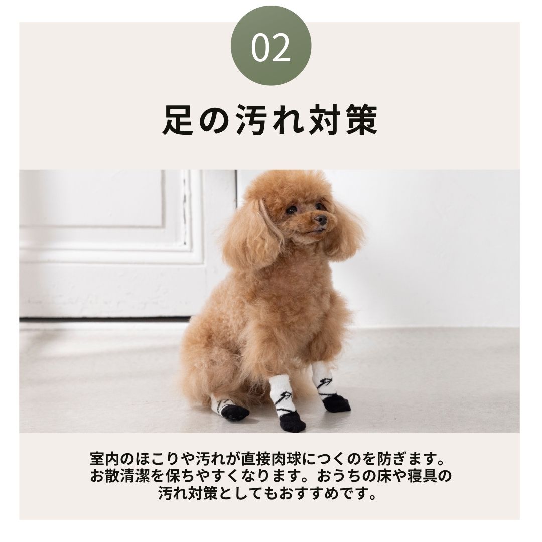 【2026年】滑り止め靴下 S/M/L Solgra-ソルグラ- 犬用 SO26AW so262753