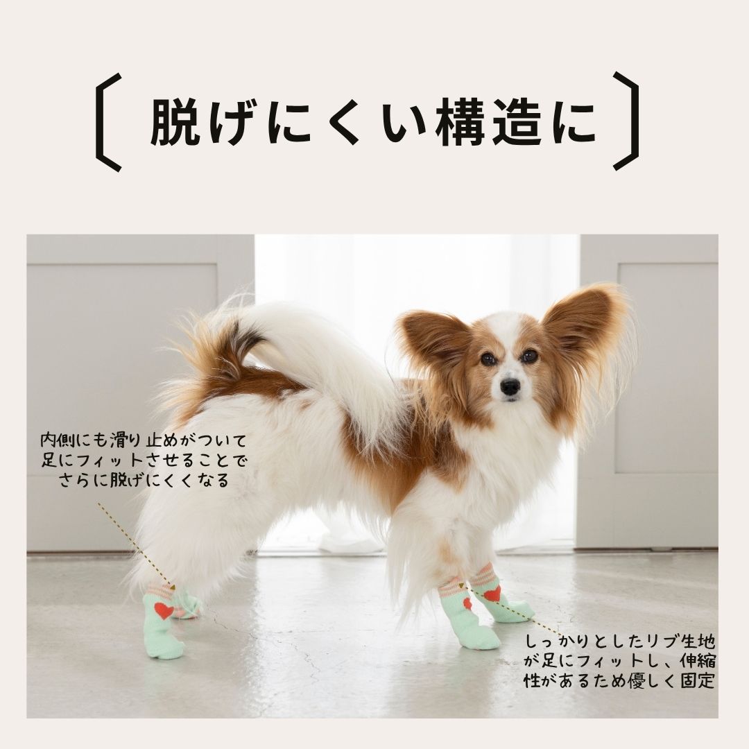 【2026年】滑り止め靴下 S/M/L Solgra-ソルグラ- 犬用 SO26AW so262753