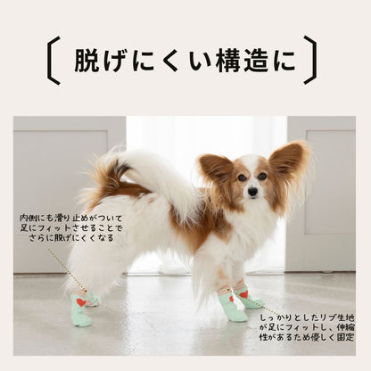 【2026年】滑り止め靴下 S/M/L Solgra-ソルグラ- 犬用 SO26AW so262753