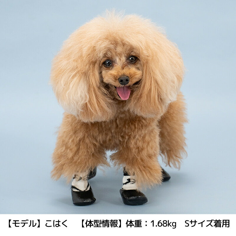 【2026年】ラバーシューズ S/M/L Solgra-ソルグラ- 犬用 SO26AW so262754