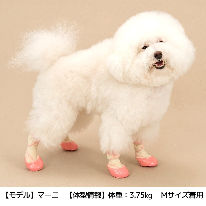 【2026年】ラバーシューズ S/M/L Solgra-ソルグラ- 犬用 SO26AW so262754