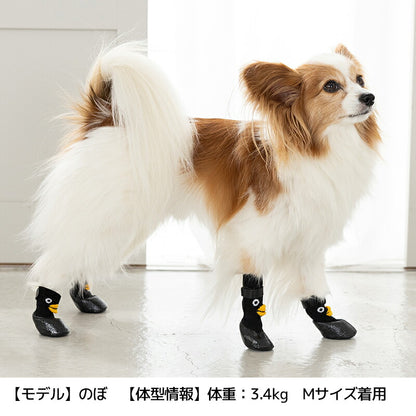【2026年】ラバーシューズ S/M/L Solgra-ソルグラ- 犬用 SO26AW so262754