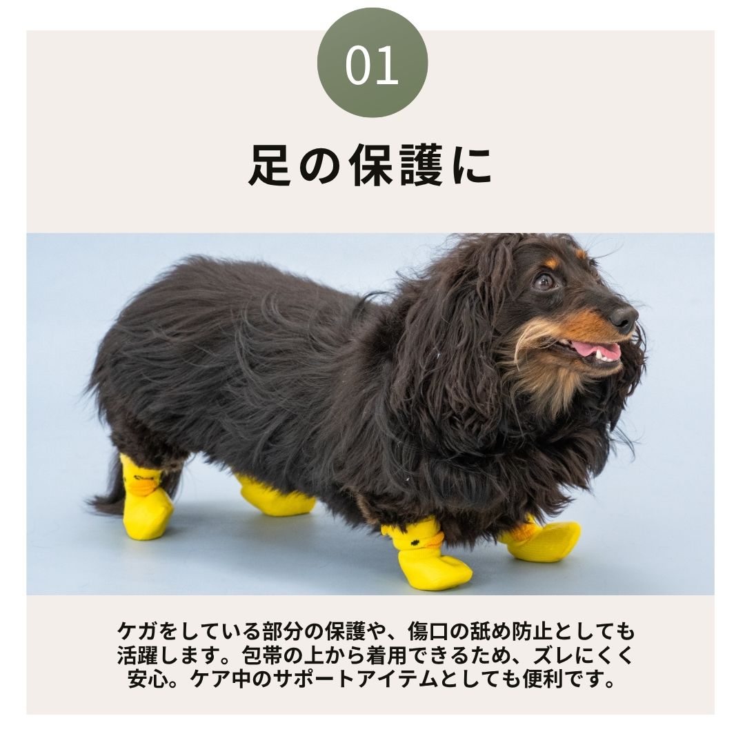 【2026年】ラバーシューズ S/M/L Solgra-ソルグラ- 犬用 SO26AW so262754