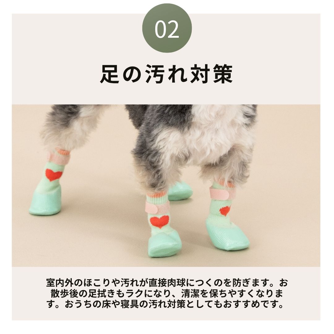 【2026年】ラバーシューズ S/M/L Solgra-ソルグラ- 犬用 SO26AW so262754