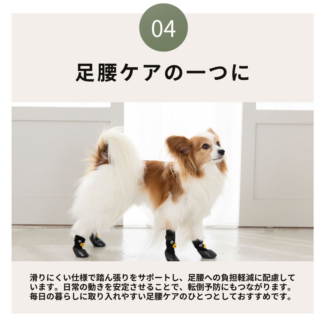 【2026年】ラバーシューズ S/M/L Solgra-ソルグラ- 犬用 SO26AW so262754