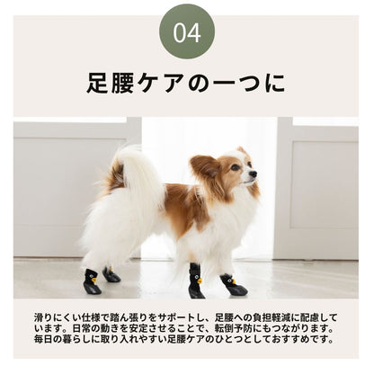 【2026年】ラバーシューズ S/M/L Solgra-ソルグラ- 犬用 SO26AW so262754