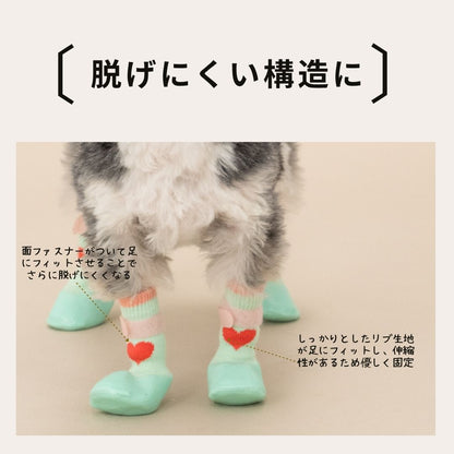 【2026年】ラバーシューズ S/M/L Solgra-ソルグラ- 犬用 SO26AW so262754