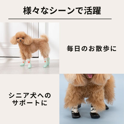【2026年】ラバーシューズ S/M/L Solgra-ソルグラ- 犬用 SO26AW so262754