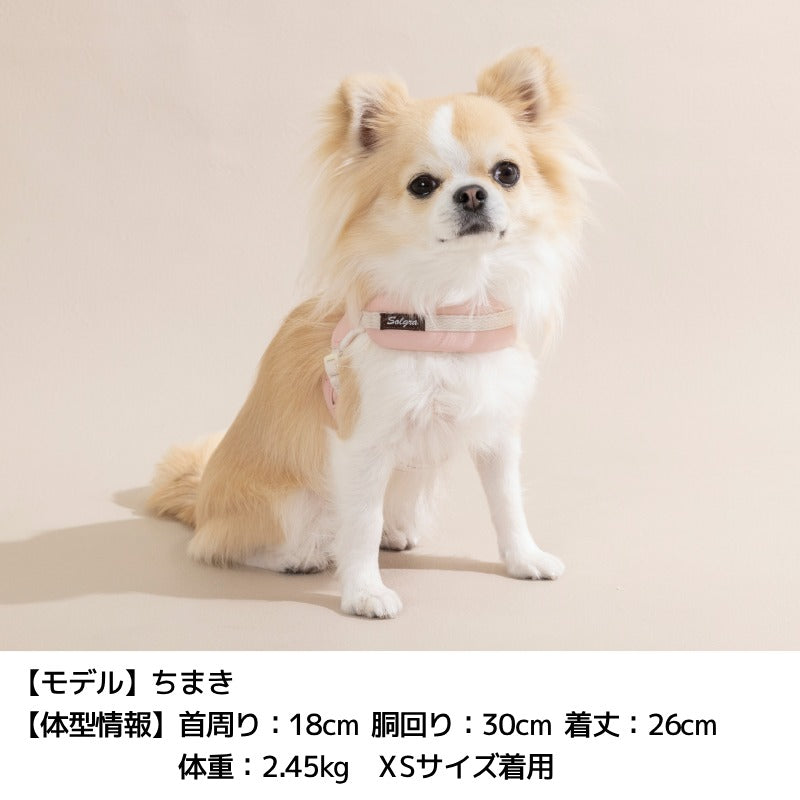 レザーステップハーネス XS/S/M/L Solgra-ソルグラ- 犬用 犬具 お散歩 小型犬用 トイプードル チワワ ダックス 簡単装着 抜けにくい SO26AW so269777