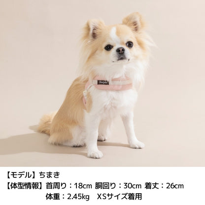 レザーステップハーネス XS/S/M/L Solgra-ソルグラ- 犬用 犬具 お散歩 小型犬用 トイプードル チワワ ダックス 簡単装着 抜けにくい SO26AW so269777