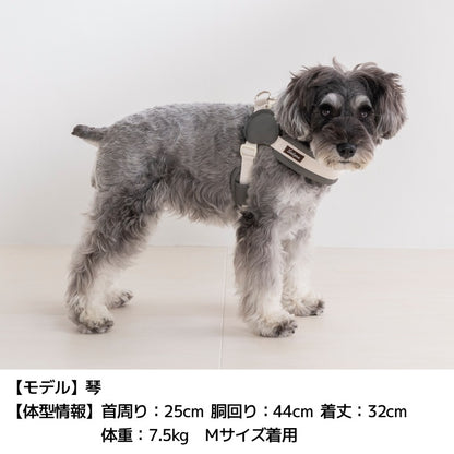 レザーステップハーネス XS/S/M/L Solgra-ソルグラ- 犬用 犬具 お散歩 小型犬用 トイプードル チワワ ダックス 簡単装着 抜けにくい SO26AW so269777