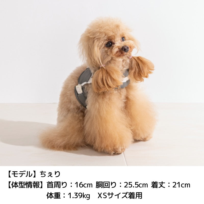 レザーステップハーネス XS/S/M/L Solgra-ソルグラ- 犬用 犬具 お散歩 小型犬用 トイプードル チワワ ダックス 簡単装着 抜けにくい SO26AW so269777