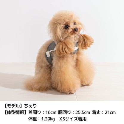 レザーステップハーネス XS/S/M/L Solgra-ソルグラ- 犬用 犬具 お散歩 小型犬用 トイプードル チワワ ダックス 簡単装着 抜けにくい SO26AW so269777