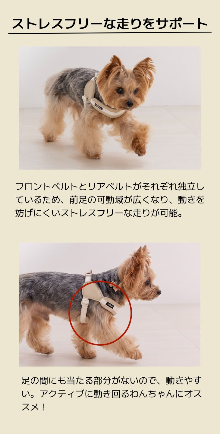 レザーステップハーネス XS/S/M/L Solgra-ソルグラ- 犬用 犬具 お散歩 小型犬用 トイプードル チワワ ダックス 簡単装着 抜けにくい SO26AW so269777