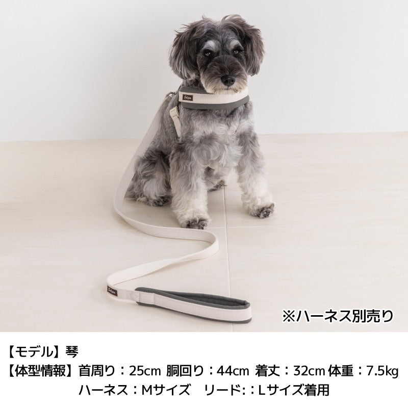 レザーソフティリード S/M/L Solgra-ソルグラ- 犬用 犬具 お散歩 小型犬用 トイプードル チワワ ダックス 簡単装着 抜けにくい SO26AW so269778