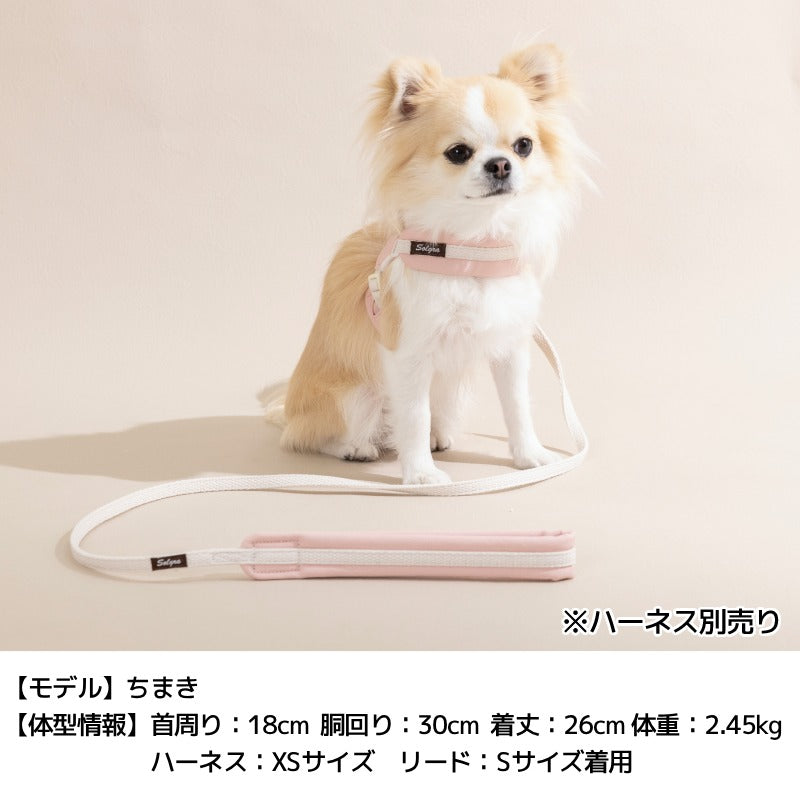 レザーソフティリード S/M/L Solgra-ソルグラ- 犬用 犬具 お散歩 小型犬用 トイプードル チワワ ダックス 簡単装着 抜けにくい SO26AW so269778