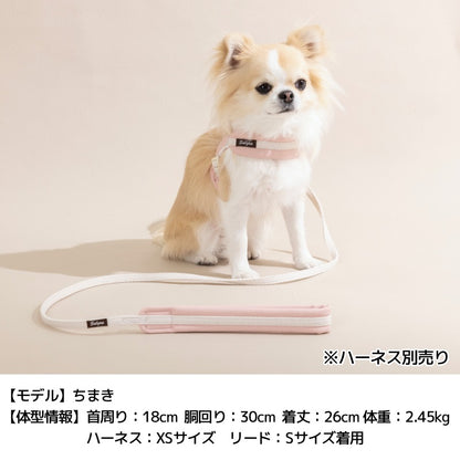 レザーソフティリード S/M/L Solgra-ソルグラ- 犬用 犬具 お散歩 小型犬用 トイプードル チワワ ダックス 簡単装着 抜けにくい SO26AW so269778