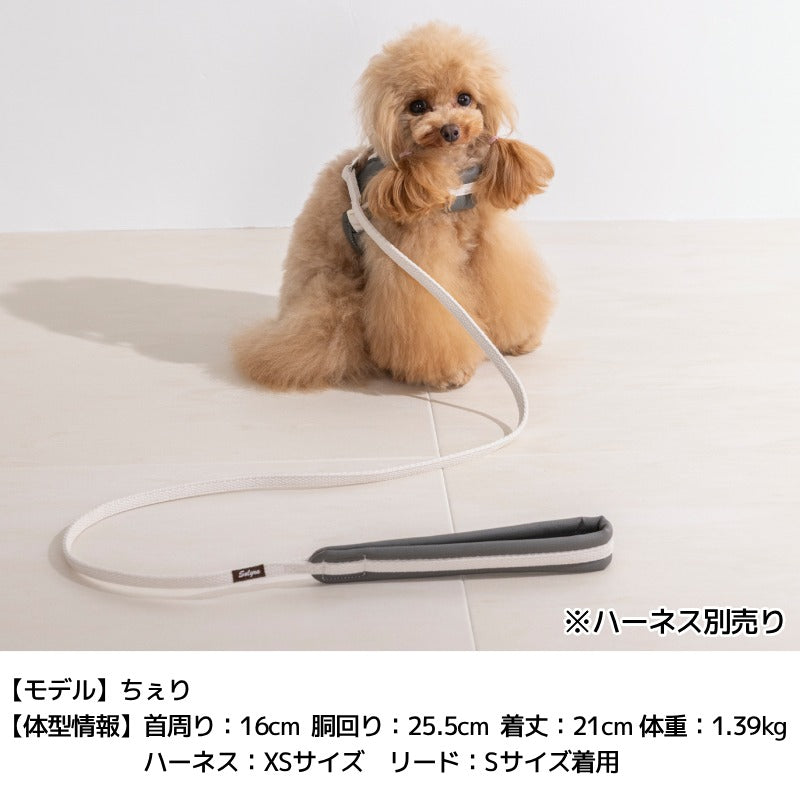レザーソフティリード S/M/L Solgra-ソルグラ- 犬用 犬具 お散歩 小型犬用 トイプードル チワワ ダックス 簡単装着 抜けにくい SO26AW so269778