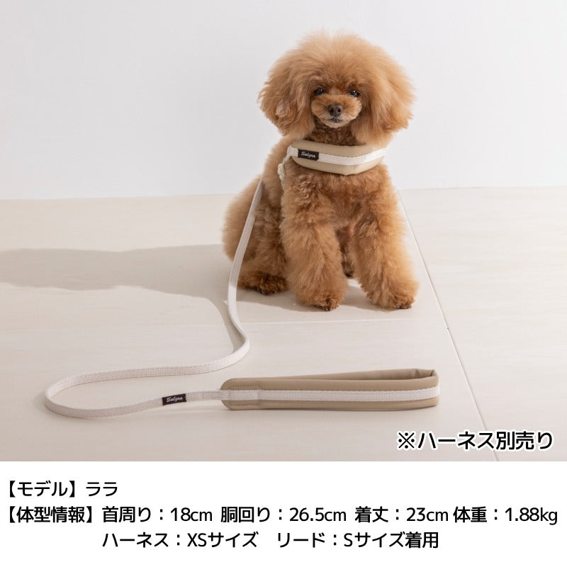 レザーソフティリード S/M/L Solgra-ソルグラ- 犬用 犬具 お散歩 小型