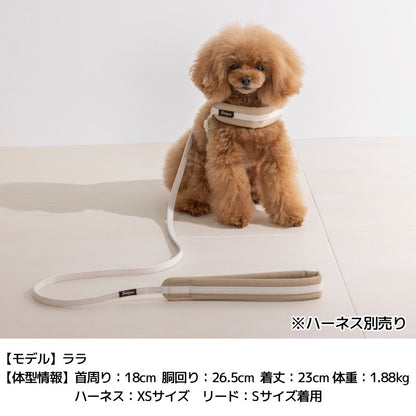 レザーソフティリード S/M/L Solgra-ソルグラ- 犬用 犬具 お散歩 小型犬用 トイプードル チワワ ダックス 簡単装着 抜けにくい SO26AW so269778