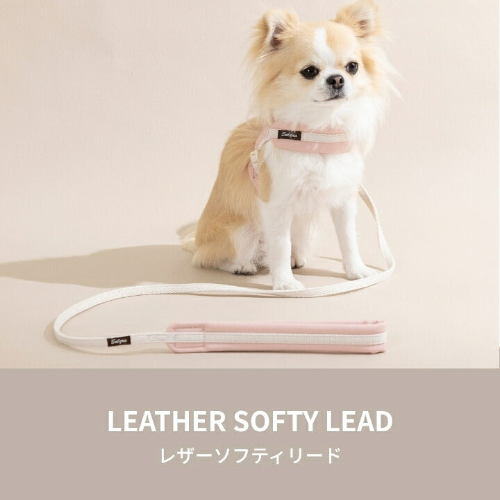 レザーソフティリード S/M/L Solgra-ソルグラ- 犬用 犬具 お散歩 小型