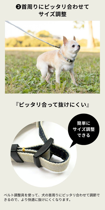 デニムカラー S/M/L Solgra-ソルグラ- 犬用 首輪 トイプードル チワワ ポメラニアン SO22SS so169022-1