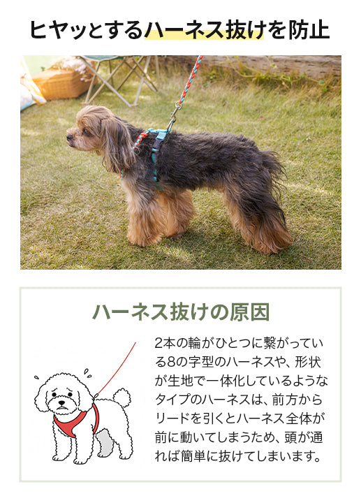 バイカラーコードハーネス S/M/L Solgra-ソルグラ- 犬用 ハーネス 小型犬 中型犬 SO22AW so169197-1