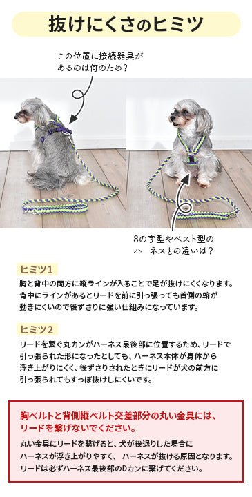 バイカラーコードハーネス S/M/L Solgra-ソルグラ- 犬用 ハーネス 小型