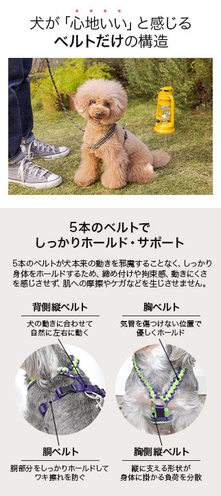 バイカラーコードハーネス S/M/L Solgra-ソルグラ- 犬用 ハーネス 小型犬 中型犬 SO22AW so169197-1