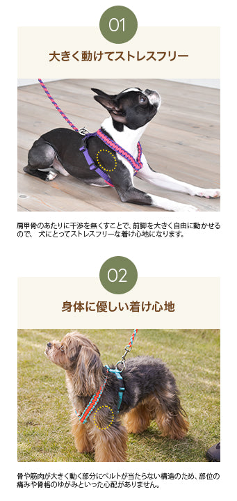 バイカラーコードハーネス S/M/L Solgra-ソルグラ- 犬用 ハーネス 小型犬 中型犬 SO22AW so169197-1