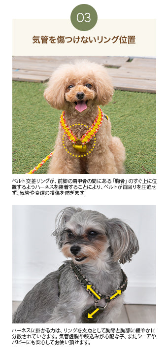 バイカラーコードハーネス S/M/L Solgra-ソルグラ- 犬用 ハーネス 小型犬 中型犬 SO22AW so169197-1