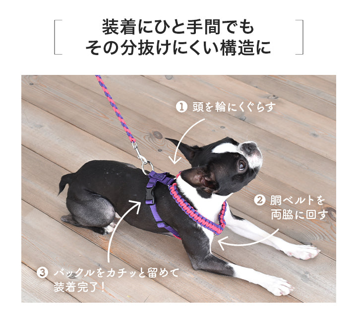 バイカラーコードハーネス S/M/L Solgra-ソルグラ- 犬用 ハーネス 小型犬 中型犬 SO22AW so169197-1
