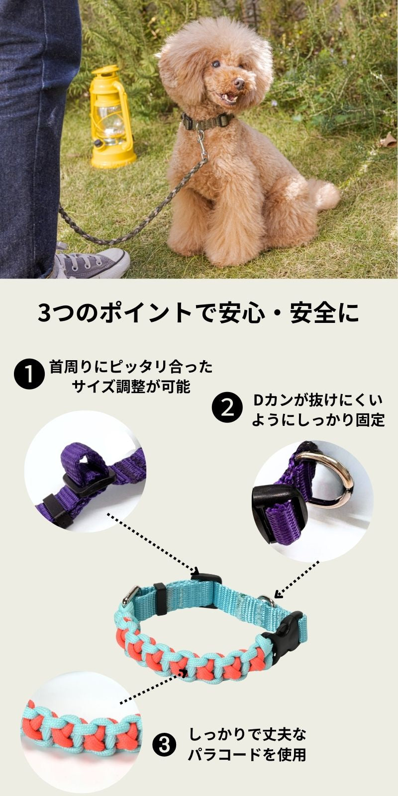 バイカラーコードカラー S/M/L Solgra-ソルグラ- 犬用 首輪 小型犬