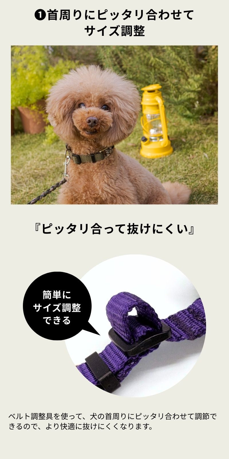 バイカラーコードカラー S/M/L Solgra-ソルグラ- 犬用 首輪 小型犬
