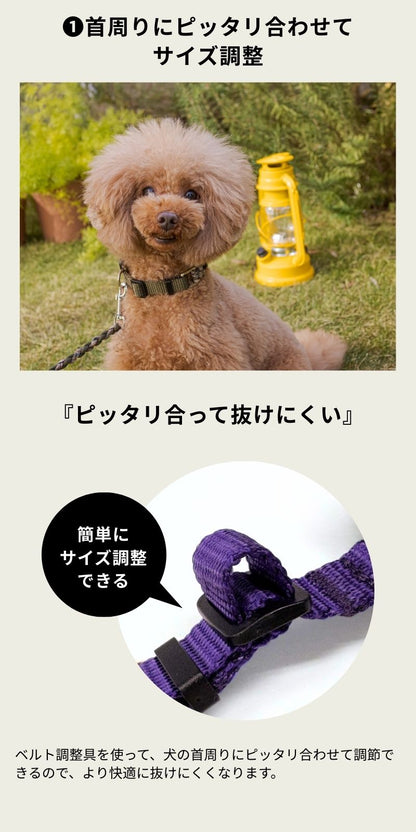 バイカラーコードカラー S/M/L Solgra-ソルグラ- 犬用 首輪 小型犬 中型犬 SO22AW so169198-1