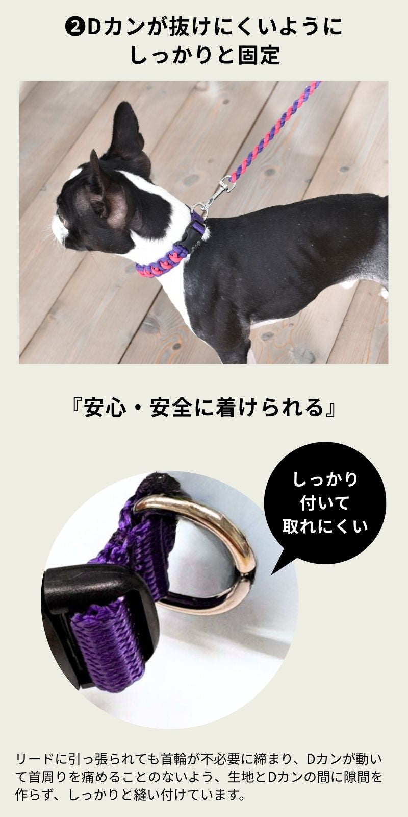 バイカラーコードカラー S/M/L Solgra-ソルグラ- 犬用 首輪 小型犬