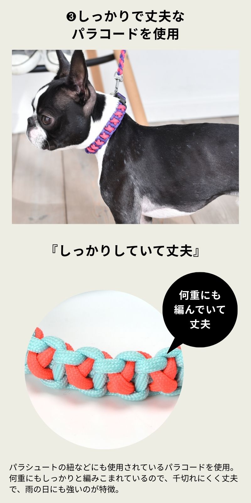 バイカラーコードカラー S/M/L Solgra-ソルグラ- 犬用 首輪 小型犬 中型犬 SO22AW so169198-1