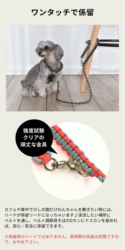 バイカラーコードリード Free Solgra-ソルグラ- 犬用 リード トイプードル チワワ ポメラニアン SO22AW so169199-1