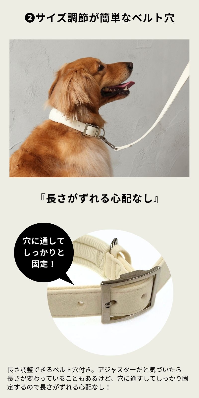 ナチュラルニットカラー XL/XXL Solgra-ソルグラ- 大型犬用 首輪 トイプードル チワワ ポメラニアン SO23SS so169236-2