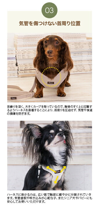 ナチュラルニットハーネス XS/S/M/L Solgra-ソルグラ- 小型犬用 中型犬