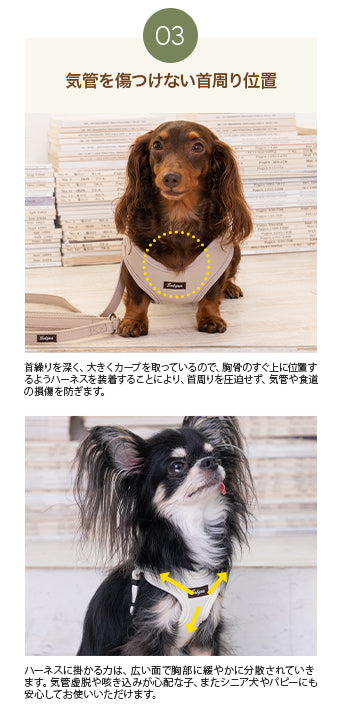 ナチュラルニットハーネス XS/S/M/L Solgra-ソルグラ- 小型犬用 中型犬用 ハーネス トイプードル チワワ ポメラニアン SO23SS so169237-1