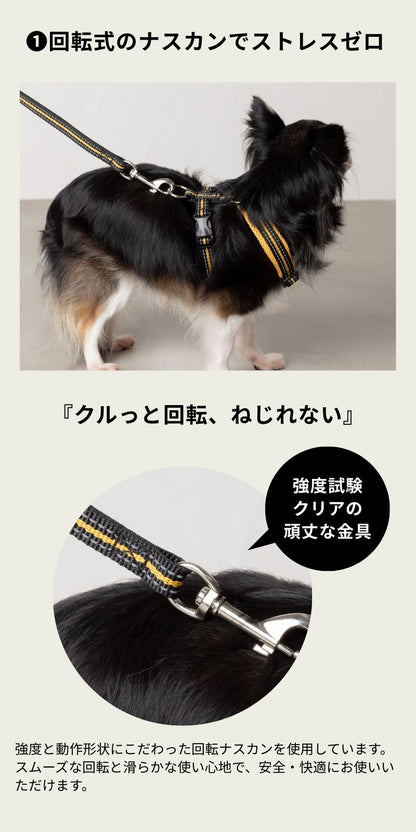 スポーティーリード F Solgra-ソルグラ- 小型犬用 リード SO23AW so235294-1