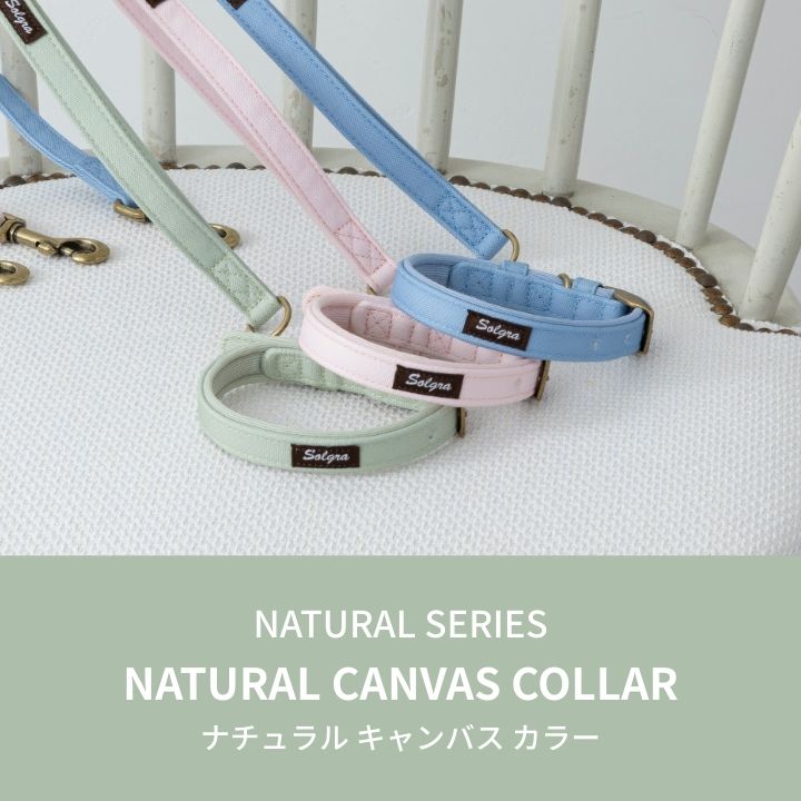 ナチュラルキャンバスカラー XS/S/M/L Solgra-ソルグラ- 犬用首輪 SO25SS so259471