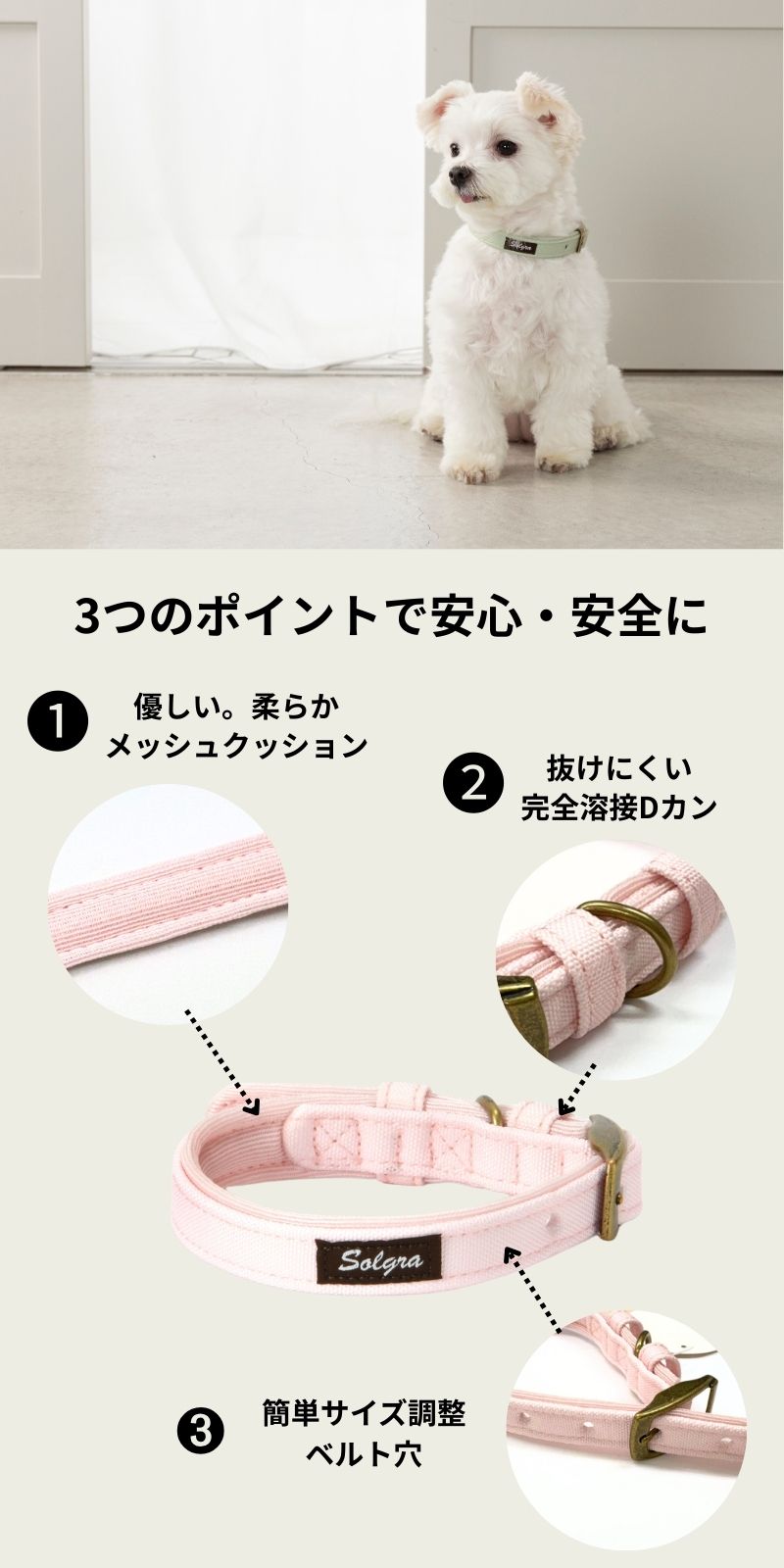 ナチュラルキャンバスカラー XS/S/M/L Solgra-ソルグラ- 犬用首輪 SO25SS so259471