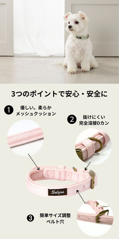ナチュラルキャンバスカラー XS/S/M/L Solgra-ソルグラ- 犬用首輪 SO25SS so259471