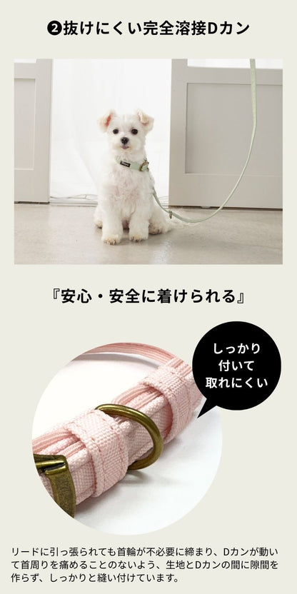 ナチュラルキャンバスカラー XS/S/M/L Solgra-ソルグラ- 犬用首輪 SO25SS so259471