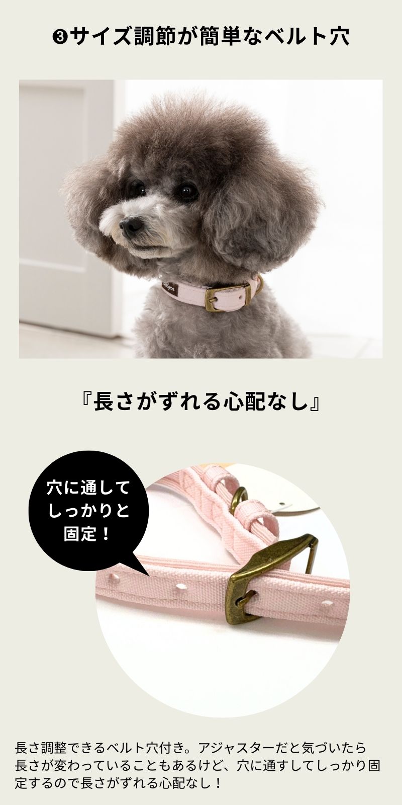 ナチュラルキャンバスカラー XS/S/M/L Solgra-ソルグラ- 犬用首輪 SO25SS so259471